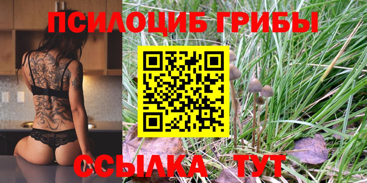 Галлюциногенные грибы Psilocybine cubensis Ханты-Мансийск
